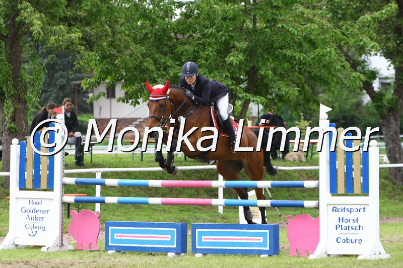 005M6461_Geraldine_Springpferde L.JPG